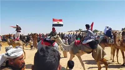 استعراض بالابل أمام المنصة الرئيسية لنادي الهجن رافعين علم مصر