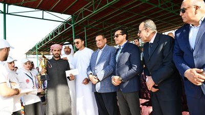 توجيهات رئاسية بتنفيذ خطة استراتيجية للتنمية الشاملة بشمال سيناء