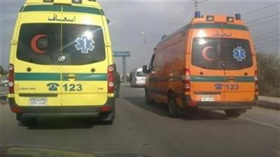 مصرع مهندس وإصابة 5 آخرين في إنقلاب سيارة بالصحراوي الغربي