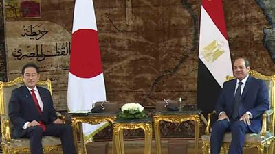 رفع العلاقات بين مصر واليابان إلى مستوى الشراكة الاستراتيجية