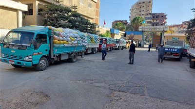 توريد ٤٣ ألف و٩٤٥ طن قمح بكفر الشيخ