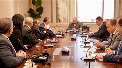 وزير الكهرباء يبحث مع سفير الهند الاستثمار المستقبلي في مصر