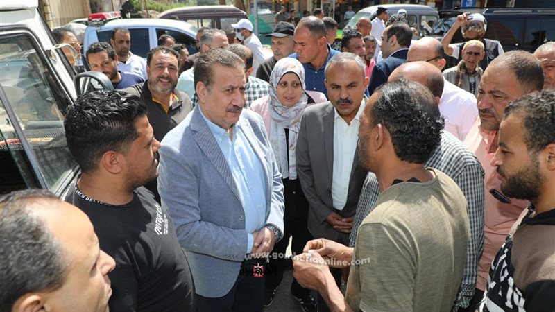 محافظ المنوفية يتفقد