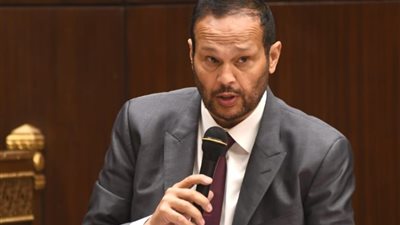 حلاوة يطالب باستراتيجية لربط التعليم باحتياجات سوق العمل والتركيز على العلوم التكنولوجية الحديثة