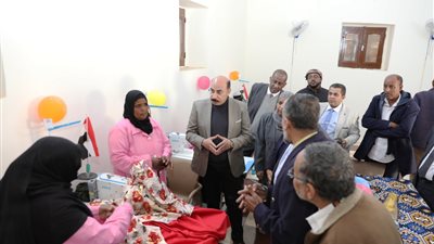 محافظ اسوان يكلف بإقامة ورش عمل لتدريب المرأة المعيلة