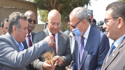 الهجان وسوسه يشهدان موسم حصاد القمح بكلية الزراعة جامعة بنها