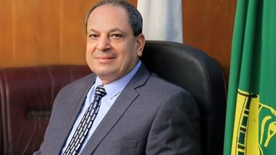 توريد 147 ألف طن قمح للشون و الصوامع الحكومية بمراكز المنيا