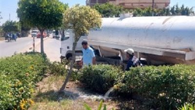 زراعة 175 ألف شجرة بالميادين والمدارس ومراكز الشباب بكفر الشيخ