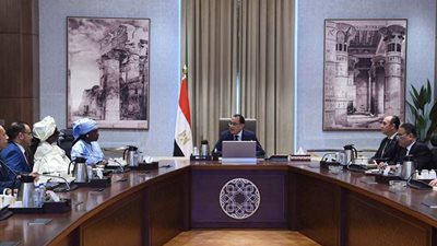 رئيس الوزراء يلتقي رئيسة المجلس الاستشاري للاتحاد الإفريقي