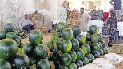الزراعة: السلع الزراعية بالاسواق آمنة تماماً وخالية من الكيماويات
