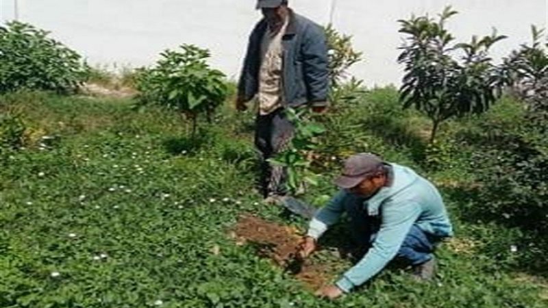 بوابة الجمهورية