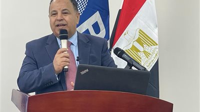 المالية: تحويل نقص الكهرباء والغاز إلى فائض للتصدير..