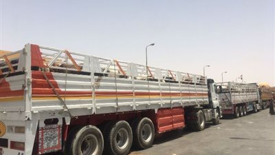 مصر تستقبل شحنة من رؤوس الماشية عبر معبر قسطل البري