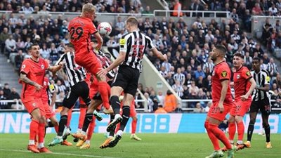 نيوكاسل يضع قدمًا في دوري الأبطال بفوز كبير علي برايتون