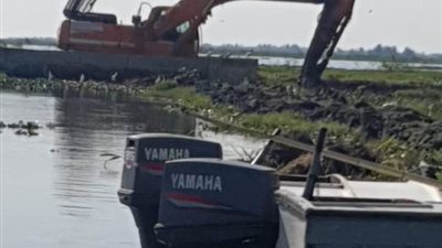 بشائر الخير تتوالى على بحيرة المنزلة بالدقهلية.. تعرف عليها