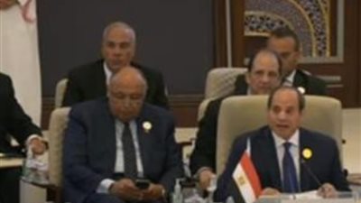 الرئيس السيسي: عودة سوريا للجامعة العربية تفعيل عملي للدور العربى