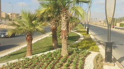 جهاز حدائق اكتوبر ينتهي من تطوير طريق زويل