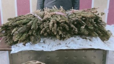 القبض على شخص بـ20 كيلو هيدرو في شمال سيناء