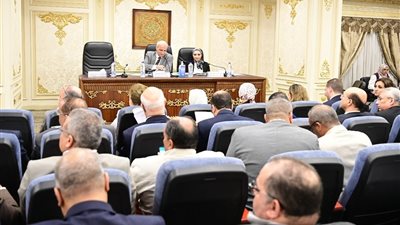 رئيس جامعة المنيا يشارك بمناقشات لجنة التعليم بمجلس النواب