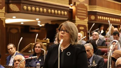 وكيل الشيوخ: وزارة الكهرباء نجحت في تحويل العجز إلى فائض بنحو 30%