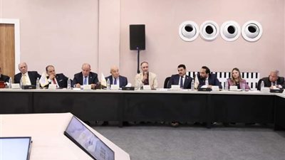 مقرر الاستثمار المحلي والأجنبي: الهدف إيجاد روشته للخروج من الأزمة الاقتصادية