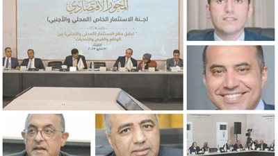 مناقشات ساخنة في لجنة الاستثمار المحلي والأجنبي