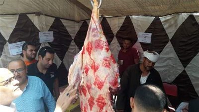 فتح منافذ لبيع اللحوم البلدية بأسعار مخفضة ببني مزار ومطاى