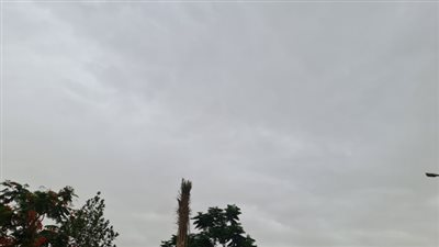 سحب كثيفة تحجب أشعة الشمس بالكامل وأمطار خفيفة بالأقصر