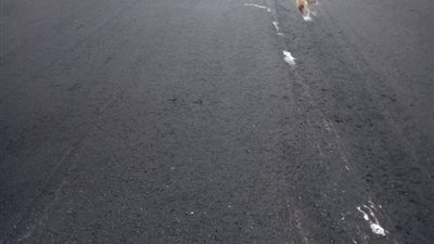 رصف منطقة المحطة الجديدة في الإسماعيلية