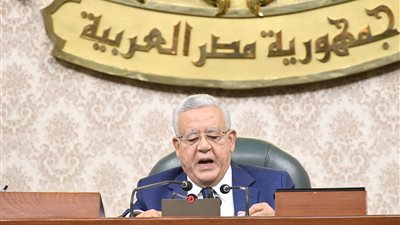 جبالي يحيل ٣ اتفاقيات دولية و١٠ قوانين للجان المختصة