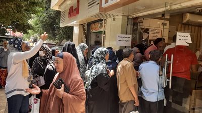 استعدادا لعيد الاضحى التموين توفير 1500 رأس ماشية بسعر ١٩٥ للكيلو