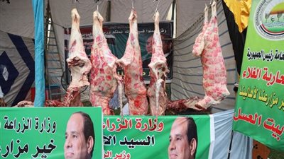 الزراعة: طرح لحوم بلدي بسعر 225 جنيه للكيلو بـ 171 منفذ