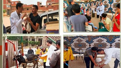 قافلة بيطرية لعلاج الثروة الحيوانية بالمجان بقرية بالشرقية