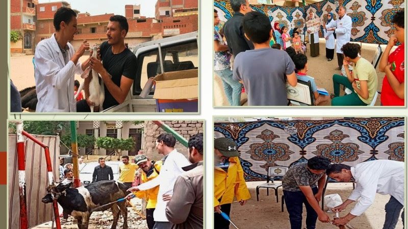 بوابة الجمهورية