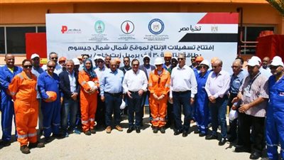 البترول:203ملايين برميل بترول احتياطي حقل 