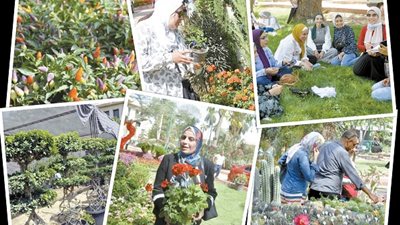 معرض الزهور بالمتحف الزراعي.. قطعة من الجنة