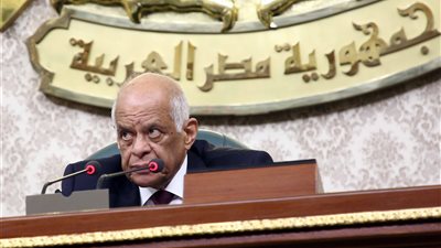 عبد العال .. تعديلات قوانين المحكمة الدستورية والهيئات القضائية أول تطبيق للتعديلات الدستورية