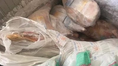 ضبط ربع طن لحم خنزير وضانى منتهية الصلاحية ببورسعيد