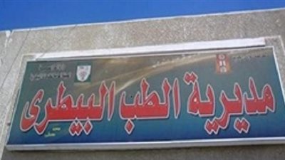قروض للشباب حتى مليون ونصف لمشروعات تربية الماشية