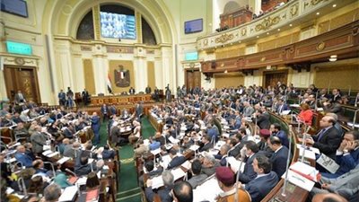 زراعة النواب توصي بنقل محطة صرف 