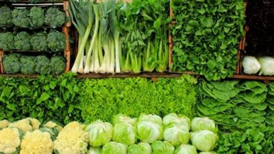 أطعمة ومشروبات مفيدة لصحة العظام يدلاً من الألبان .. تعرف عليها.. صــــــــــور