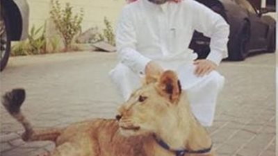 كيف استطاع القطري السبيعي تمويل الإرهاب رغم تجميد أمواله؟ فيديو