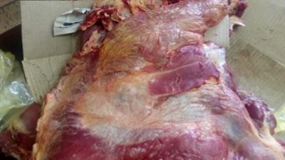 تموين أسيوط يتمكن من ضبط لحوم فاسدة باحد الثلاجات بالمدينة الصناعية ببني غالب