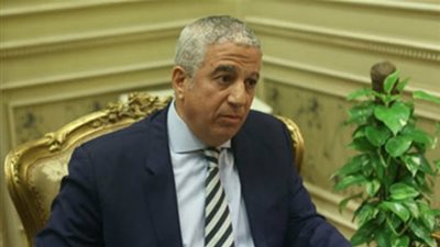 رئيس خارجية النواب: مشاركة السيسى في قمة العشرين تجسيد لمكانة مصر الاقتصادية والسياسية