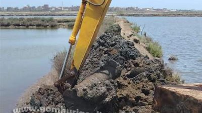 إزالة حالتي تعدي على أراضى زراعية بمدينة دمياط