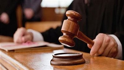إحالة أوراق عامل قتل شقيقه بأسيوط لفضيلة المفتي