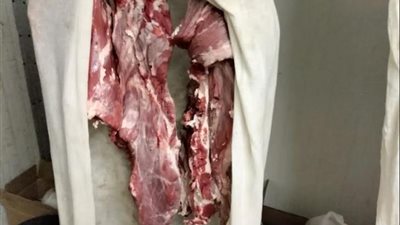 ضبط ١٢٨٠ كيلو لحوم غير صالحة بالجيزة اليوم الخميس