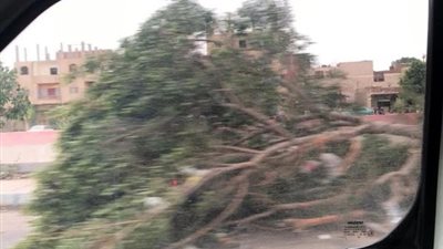 رفع آثار العاصفة الترابية بالإسماعيلية..صور