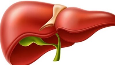 منها الملح والعسل .. أطعمة يجب على مرضى الكبد تجنبها