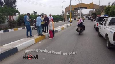 حملات لمراجعة الإعلانات بالشوارع والميادين بالدقهلية